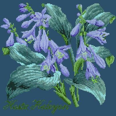 Hosta Halcyon Needlepoint Kit Kits Elizabeth Bradley Design Dark Blue 
