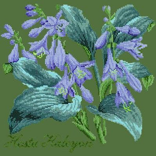 Hosta Halcyon Needlepoint Kit Kits Elizabeth Bradley Design Dark Green 
