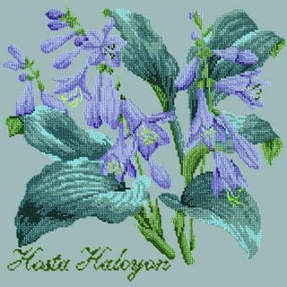 Hosta Halcyon Needlepoint Kit Kits Elizabeth Bradley Design Pale Blue 
