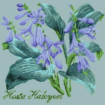Hosta Halcyon Needlepoint Kit Kits Elizabeth Bradley Design Pale Blue 
