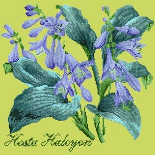 Hosta Halcyon Needlepoint Kit Kits Elizabeth Bradley Design Pale Lime 
