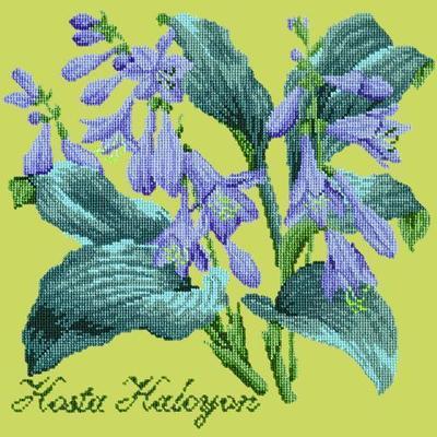 Hosta Halcyon Needlepoint Kit Kits Elizabeth Bradley Design Pale Lime 
