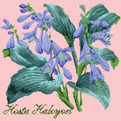 Hosta Halcyon Needlepoint Kit Kits Elizabeth Bradley Design Pale Rose 
