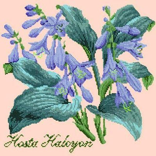 Hosta Halcyon Needlepoint Kit Kits Elizabeth Bradley Design Salmon Pink 
