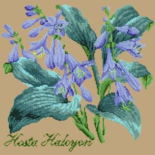Hosta Halcyon Needlepoint Kit Kits Elizabeth Bradley Design Sand 
