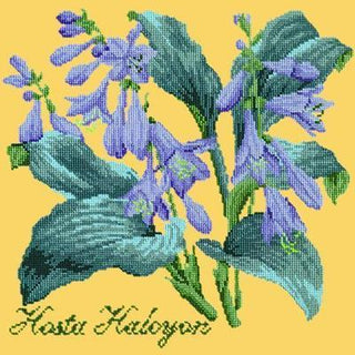 Hosta Halcyon Needlepoint Kit Kits Elizabeth Bradley Design Sunflower Yellow 
