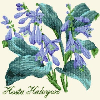 Hosta Halcyon Needlepoint Kit Kits Elizabeth Bradley Design Winter White 
