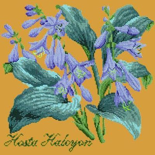 Hosta Halcyon Needlepoint Kit Kits Elizabeth Bradley Design Yellow 
