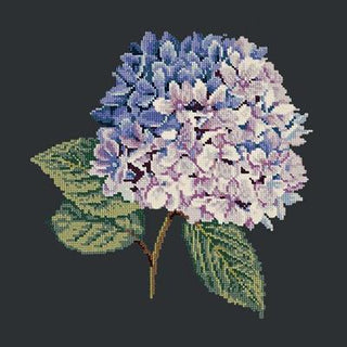 Hydrangea Needlepoint Kit Kits Elizabeth Bradley Design Black 

