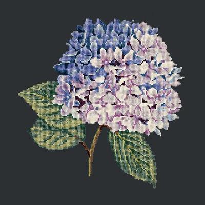 Hydrangea Needlepoint Kit Kits Elizabeth Bradley Design Black 
