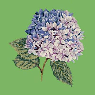 Hydrangea Needlepoint Kit Kits Elizabeth Bradley Design Grass Green 
