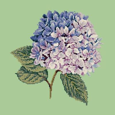 Hydrangea Needlepoint Kit Kits Elizabeth Bradley Design Pale Green 
