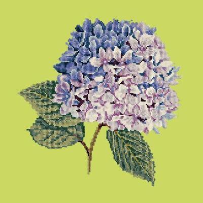 Hydrangea Needlepoint Kit Kits Elizabeth Bradley Design Pale Lime 
