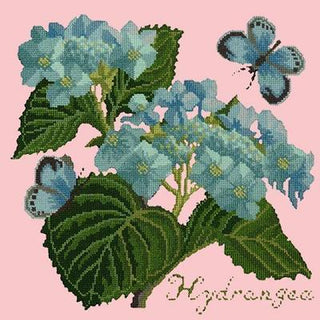Hydrangea Needlepoint Kit Kits Elizabeth Bradley Design Pale Rose 
