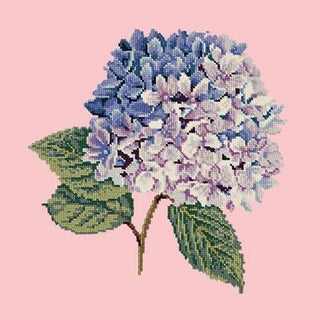 Hydrangea Needlepoint Kit Kits Elizabeth Bradley Design Pale Rose 
