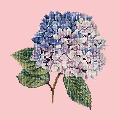 Hydrangea Needlepoint Kit Kits Elizabeth Bradley Design Pale Rose 
