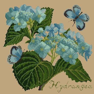 Hydrangea Needlepoint Kit Kits Elizabeth Bradley Design Sand 
