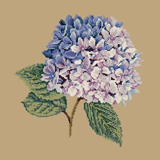 Hydrangea Needlepoint Kit Kits Elizabeth Bradley Design Sand 
