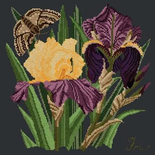 Iris Needlepoint Kit Kits Elizabeth Bradley Design Black 
