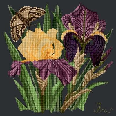 Iris Needlepoint Kit Kits Elizabeth Bradley Design Black 
