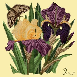 Iris Needlepoint Kit Kits Elizabeth Bradley Design Butter Yellow 
