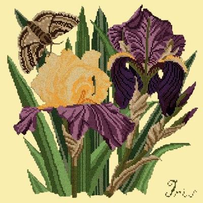 Iris Needlepoint Kit Kits Elizabeth Bradley Design Butter Yellow 
