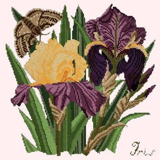 Iris Needlepoint Kit Kits Elizabeth Bradley Design Cream 
