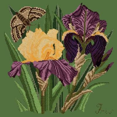 Iris Needlepoint Kit Kits Elizabeth Bradley Design Dark Green 