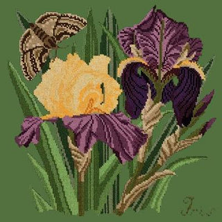 Iris Needlepoint Kit Kits Elizabeth Bradley Design Dark Green 
