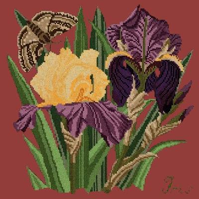 Iris Needlepoint Kit Kits Elizabeth Bradley Design Dark Red 