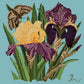 Iris Needlepoint Kit Kits Elizabeth Bradley Design Duck Egg Blue 