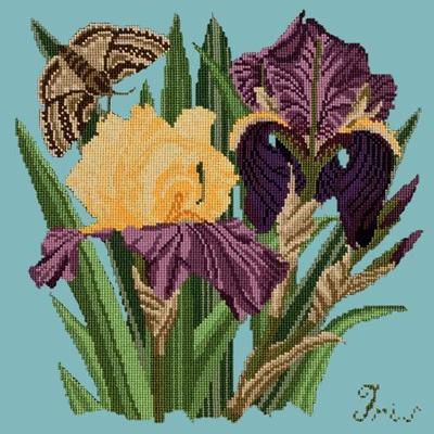 Iris Needlepoint Kit Kits Elizabeth Bradley Design Duck Egg Blue 
