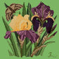 Iris Needlepoint Kit Kits Elizabeth Bradley Design Grass Green 