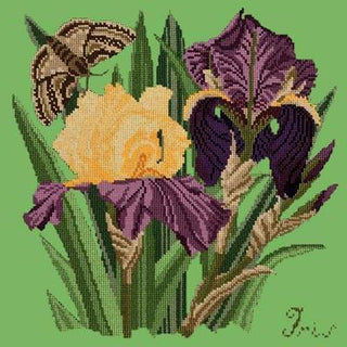 Iris Needlepoint Kit Kits Elizabeth Bradley Design Grass Green 
