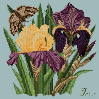 Iris Needlepoint Kit Kits Elizabeth Bradley Design Pale Blue 
