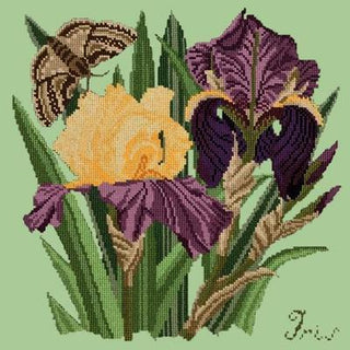 Iris Needlepoint Kit Kits Elizabeth Bradley Design Pale Green 
