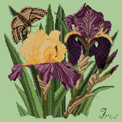 Iris Needlepoint Kit Kits Elizabeth Bradley Design Pale Green 
