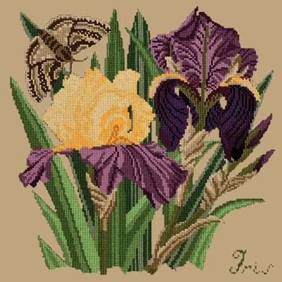 Iris Needlepoint Kit Kits Elizabeth Bradley Design Sand 