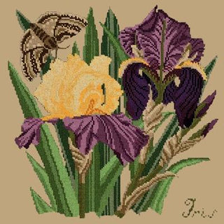Iris Needlepoint Kit Kits Elizabeth Bradley Design Sand 
