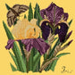Iris Needlepoint Kit Kits Elizabeth Bradley Design Sunflower Yellow 