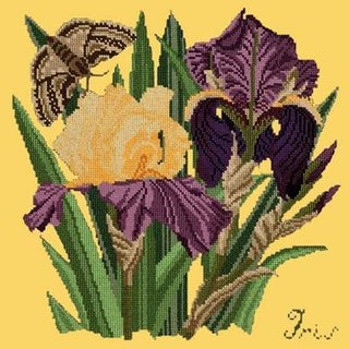 Iris Needlepoint Kit Kits Elizabeth Bradley Design Sunflower Yellow 
