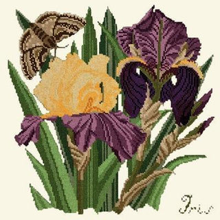 Iris Needlepoint Kit Kits Elizabeth Bradley Design Winter White 
