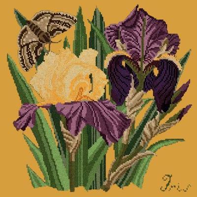 Iris Needlepoint Kit Kits Elizabeth Bradley Design Yellow 