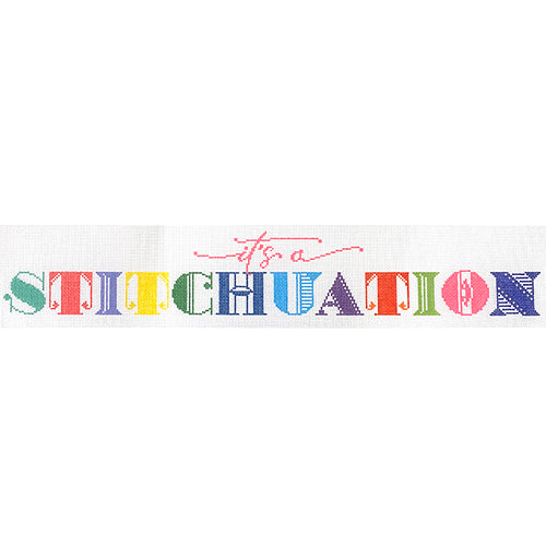 It's a Stitchuation   Large Painted Canvas Wipstitch Needleworks  - 1
