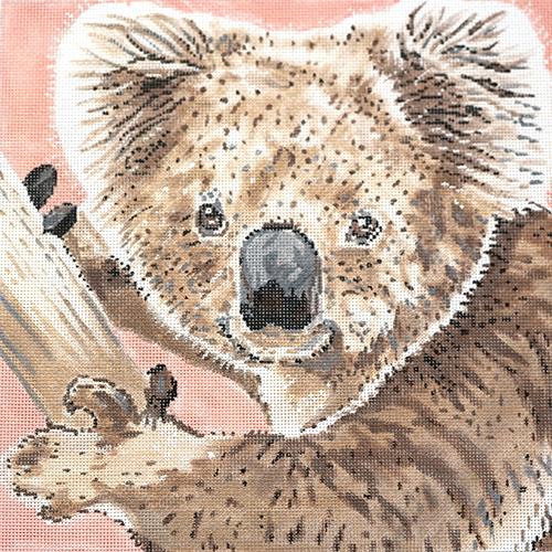 Koala Painted Canvas The Meredith Collection  - 1