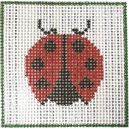 Ladybug Beginner Kit Kits DeElda Wittmack 