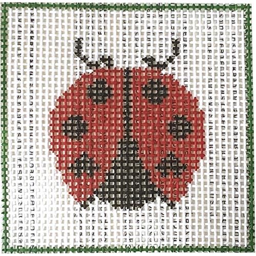 Ladybug Beginner Kit Kits DeElda Wittmack 
