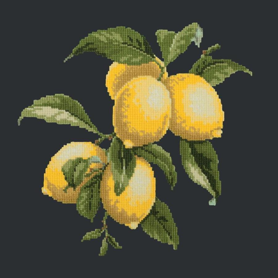 Lemons Needlepoint Kit Kits Elizabeth Bradley Design Black 
