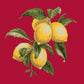 Lemons Needlepoint Kit Kits Elizabeth Bradley Design Bright Red 
