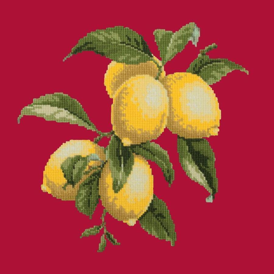Lemons Needlepoint Kit Kits Elizabeth Bradley Design Bright Red 
